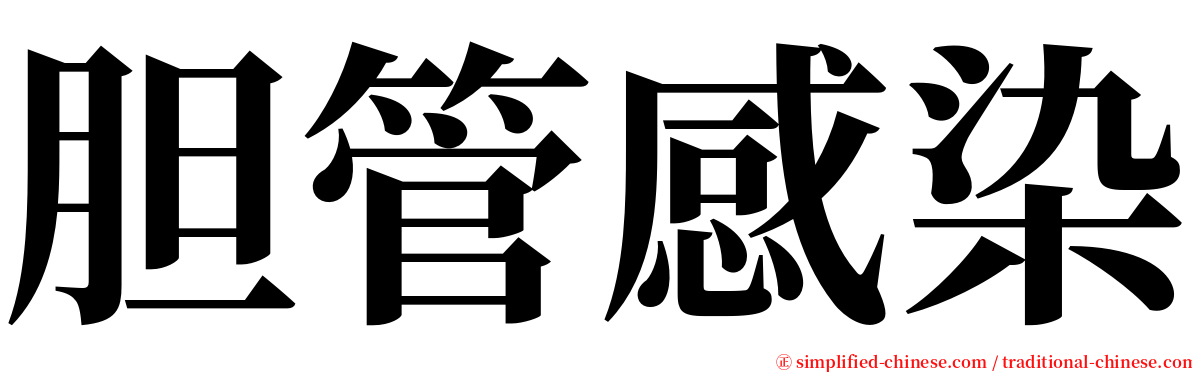 胆管感染 serif font