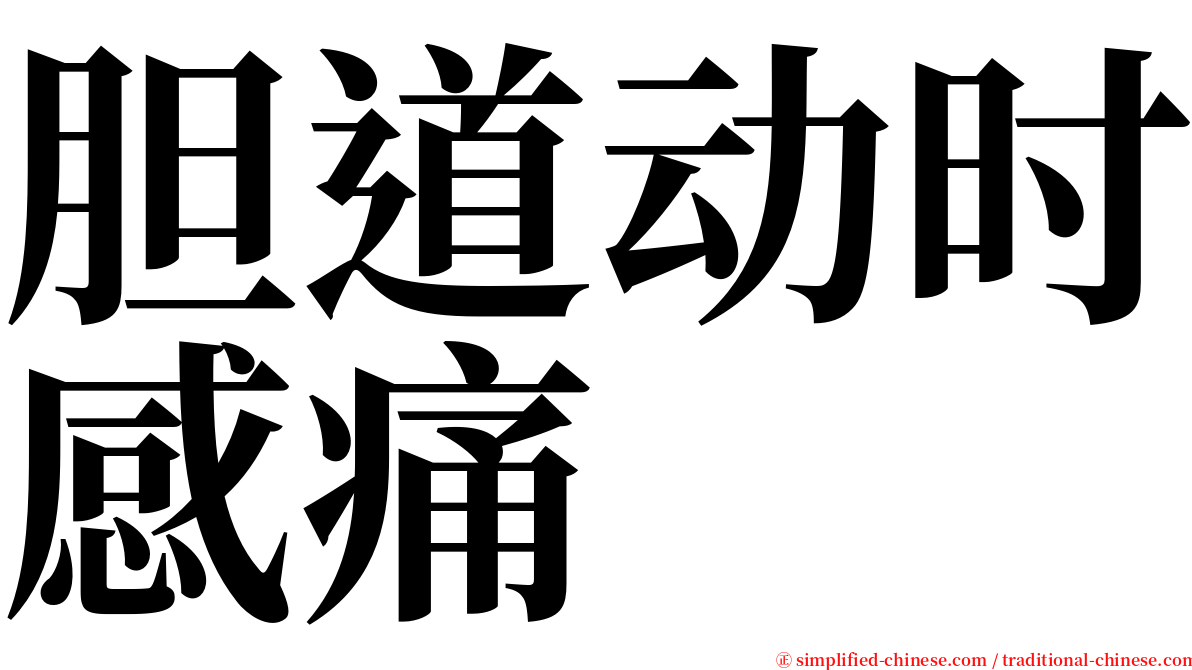 胆道动时感痛 serif font