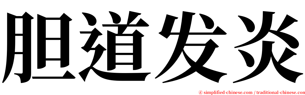 胆道发炎 serif font