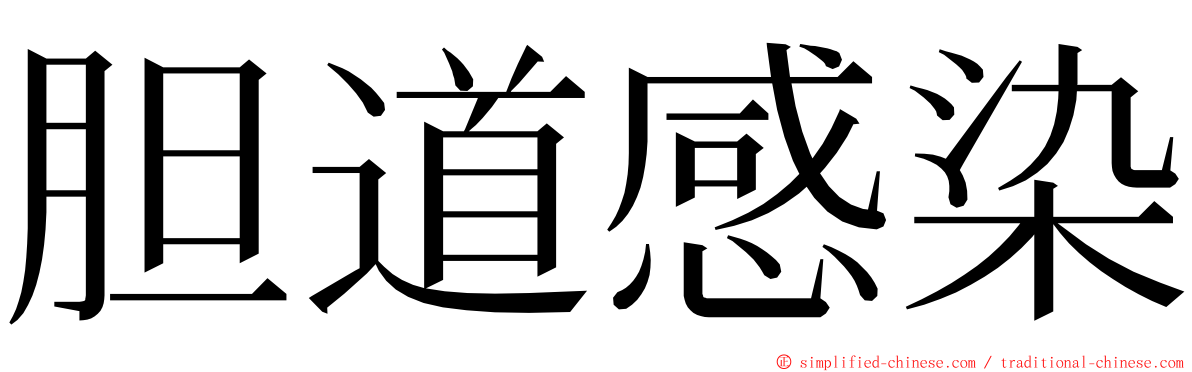 胆道感染 ming font