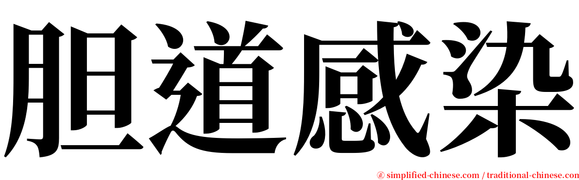 胆道感染 serif font