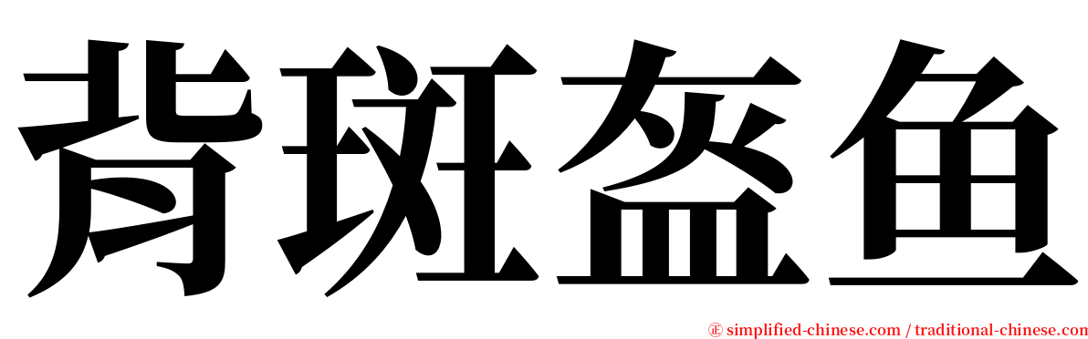 背斑盔鱼 serif font