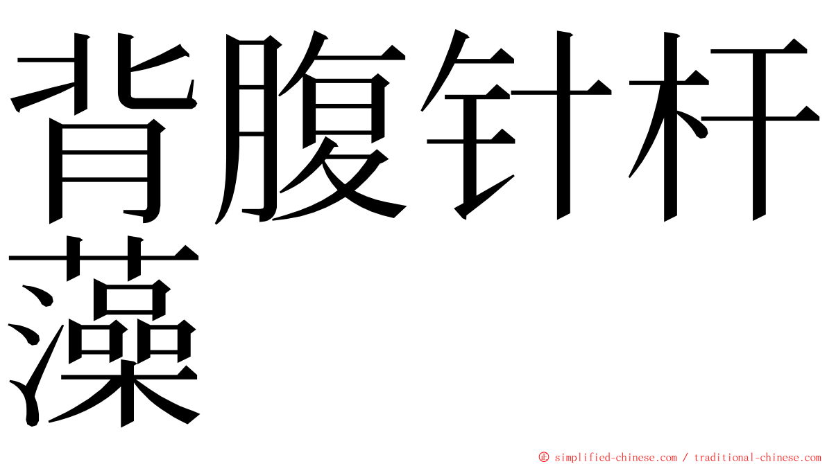 背腹针杆藻 ming font