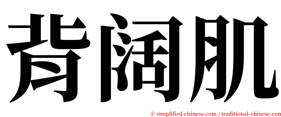 背阔肌 serif font