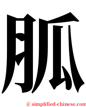 胍 serif font