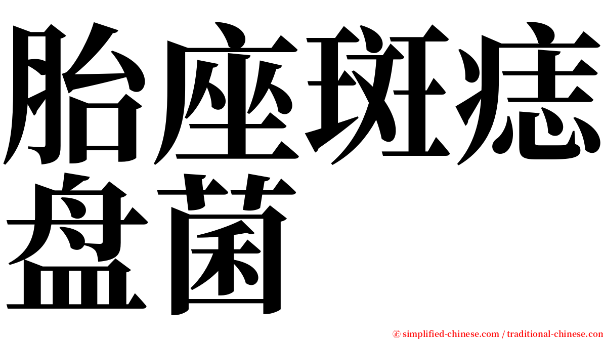 胎座斑痣盘菌 serif font