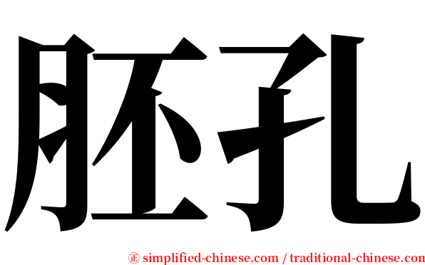 胚孔 serif font