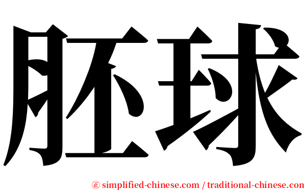 胚球 serif font