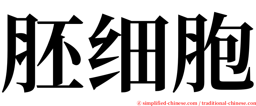 胚细胞 serif font