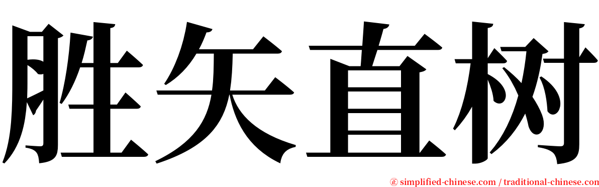 胜矢直树 serif font