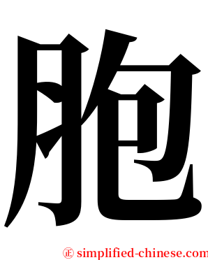 胞 serif font