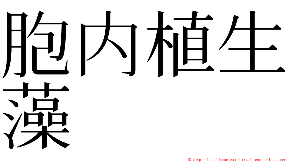 胞内植生藻 ming font