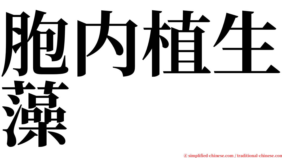 胞内植生藻 serif font