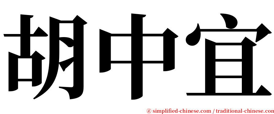 胡中宜 serif font