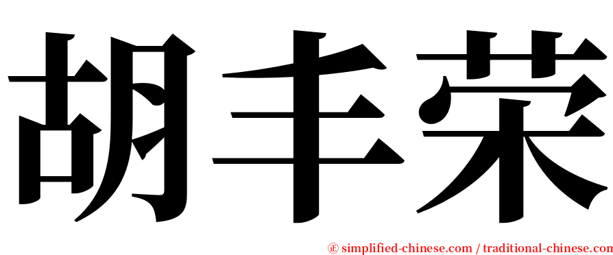 胡丰荣 serif font