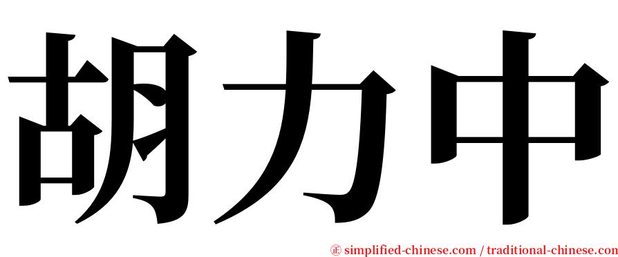 胡力中 serif font