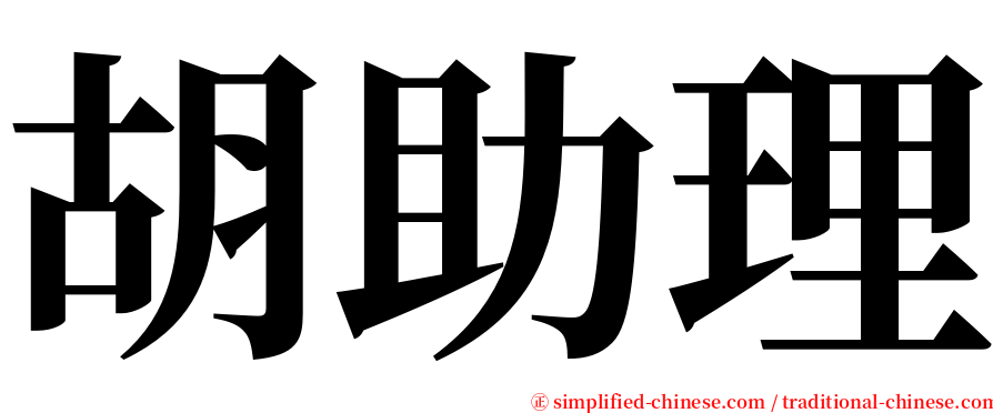 胡助理 serif font