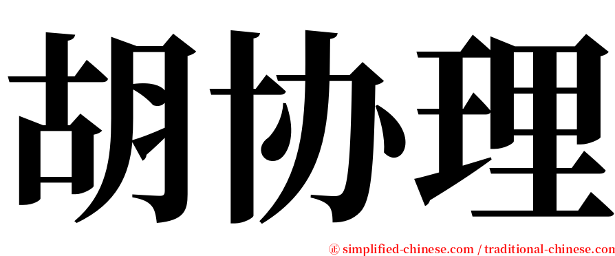 胡协理 serif font