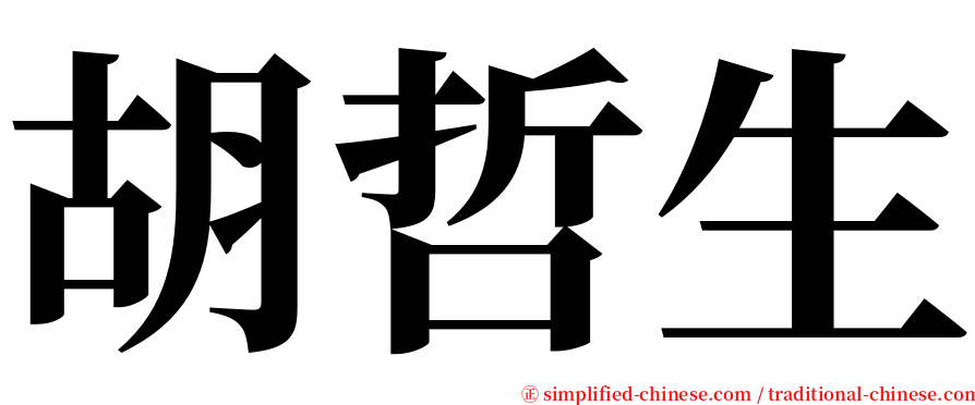 胡哲生 serif font