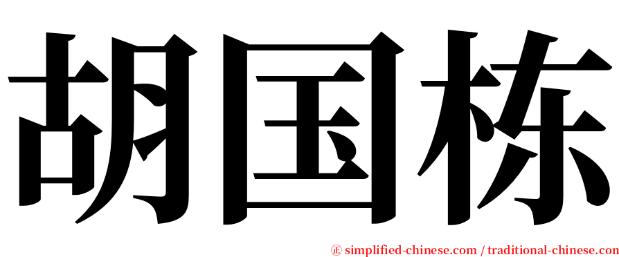 胡国栋 serif font