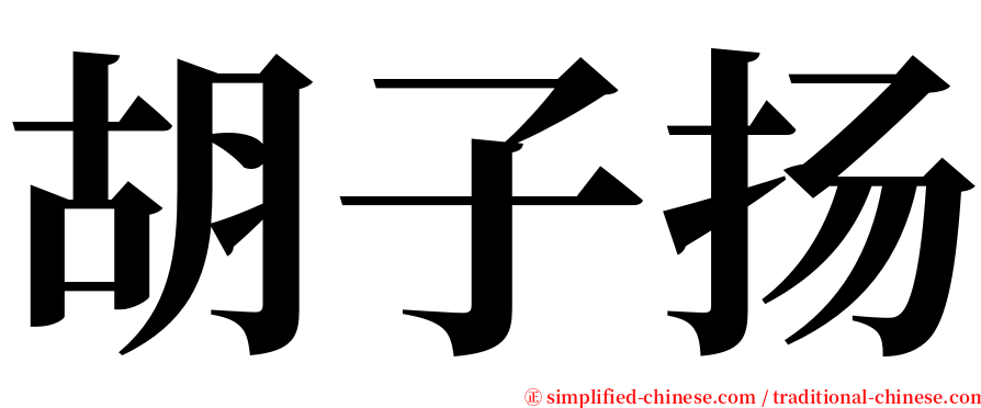 胡子扬 serif font