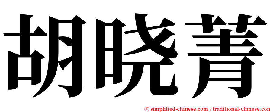 胡晓菁 serif font