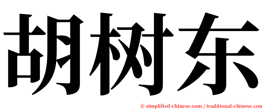 胡树东 serif font