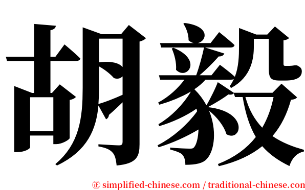 胡毅 serif font