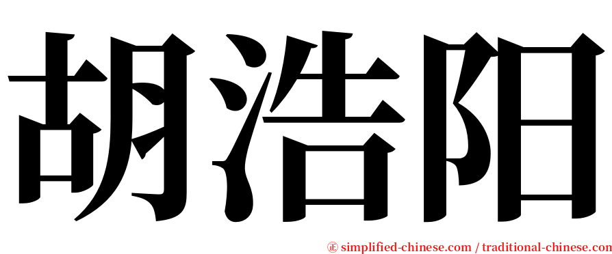 胡浩阳 serif font