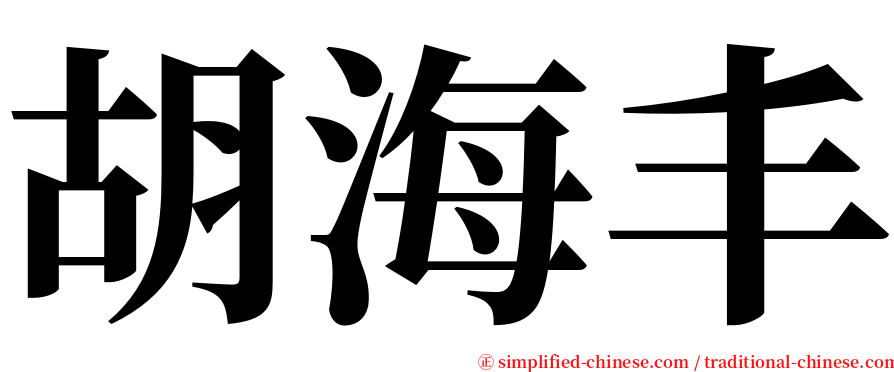 胡海丰 serif font