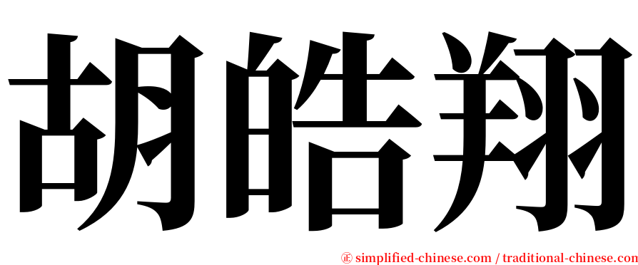 胡皓翔 serif font