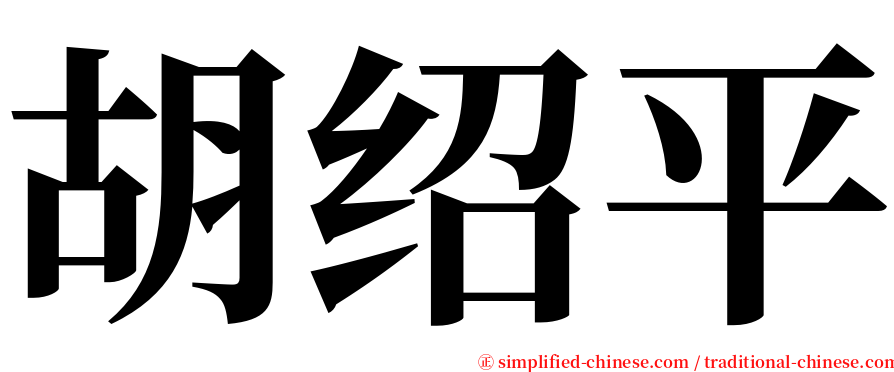 胡绍平 serif font