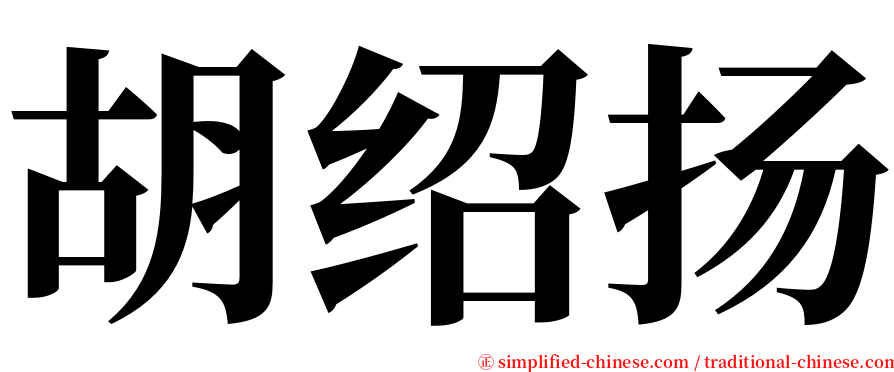 胡绍扬 serif font