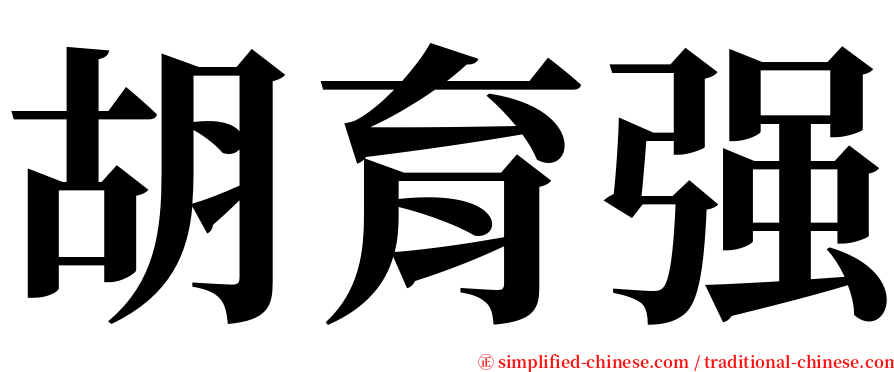 胡育强 serif font