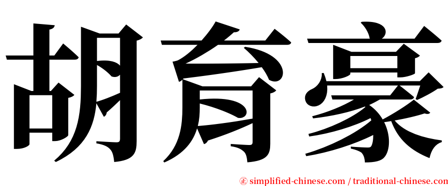 胡育豪 serif font