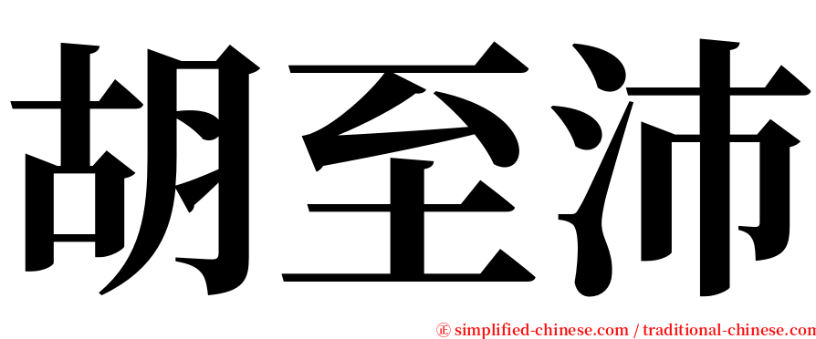 胡至沛 serif font