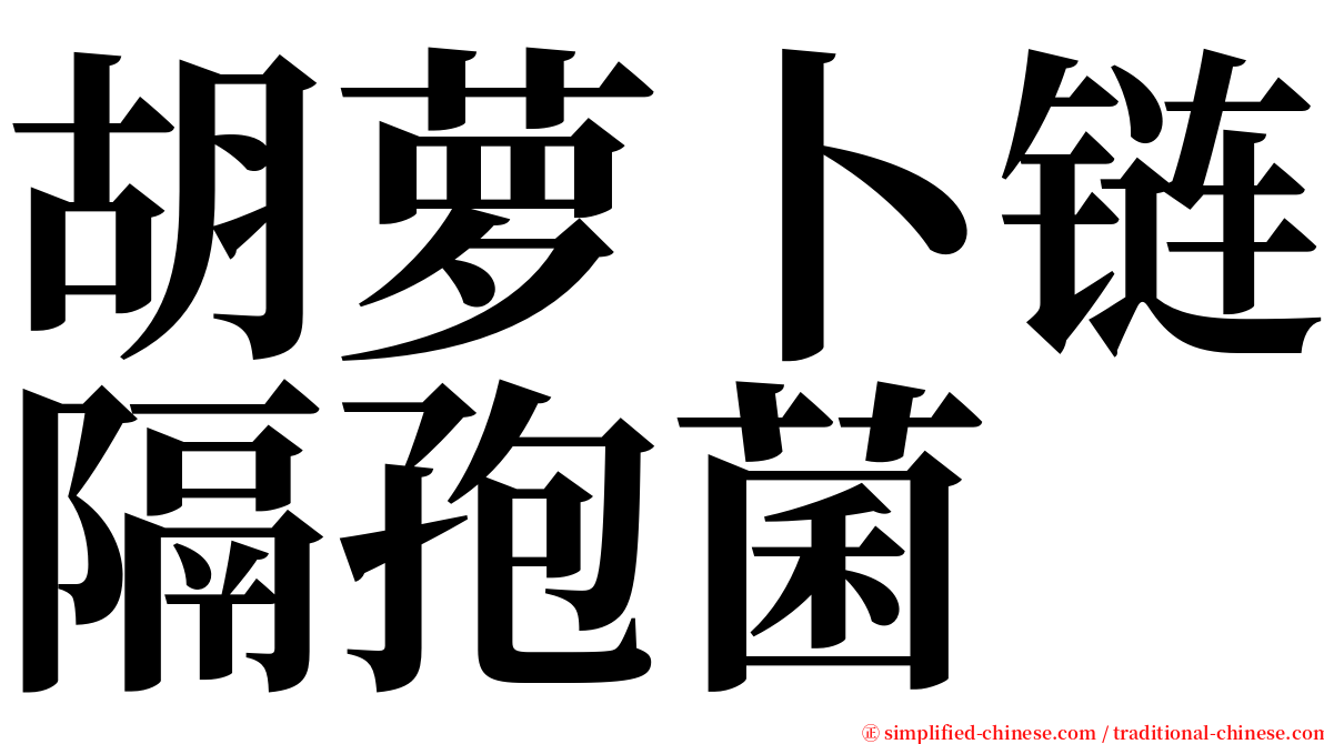 胡萝卜链隔孢菌 serif font