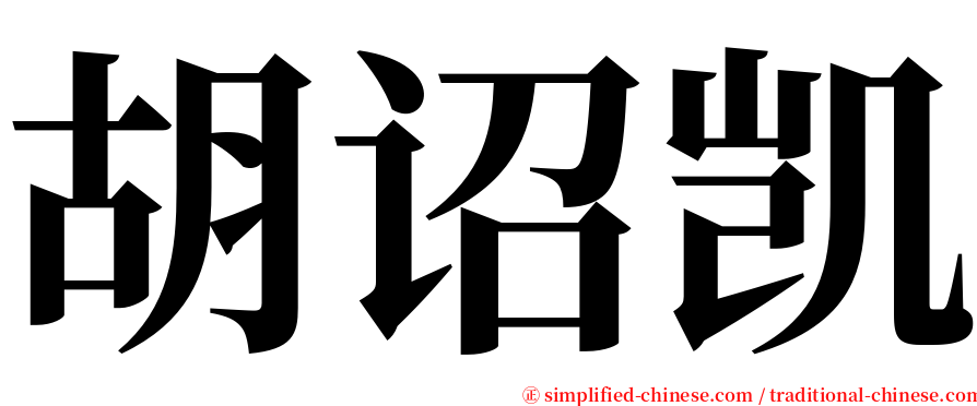 胡诏凯 serif font