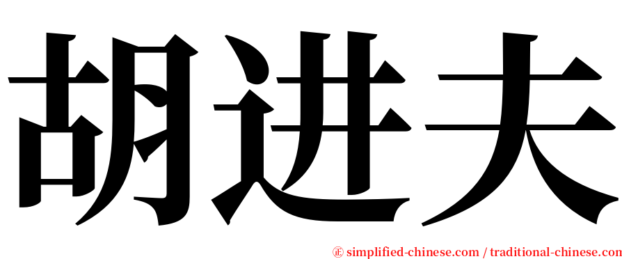 胡进夫 serif font