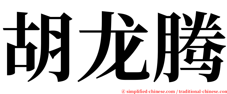 胡龙腾 serif font