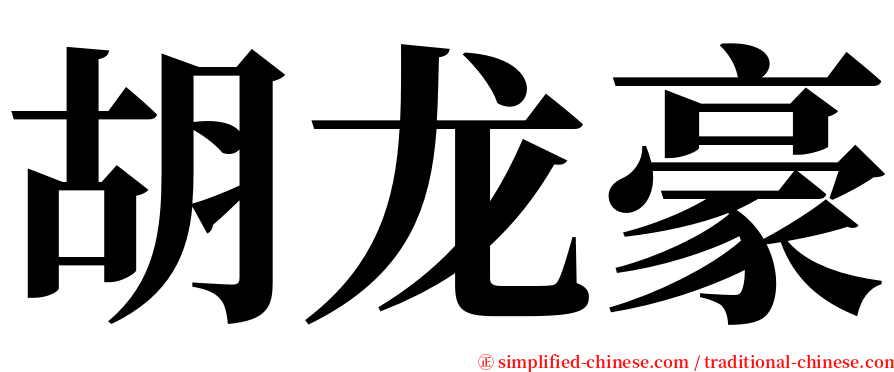 胡龙豪 serif font