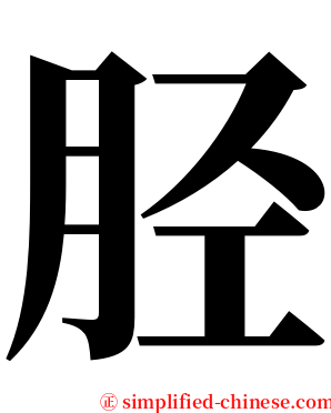 胫 serif font