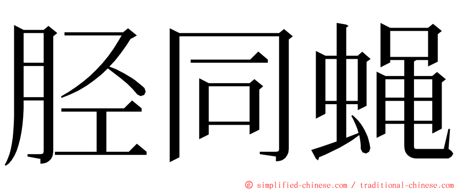 胫同蝇 ming font