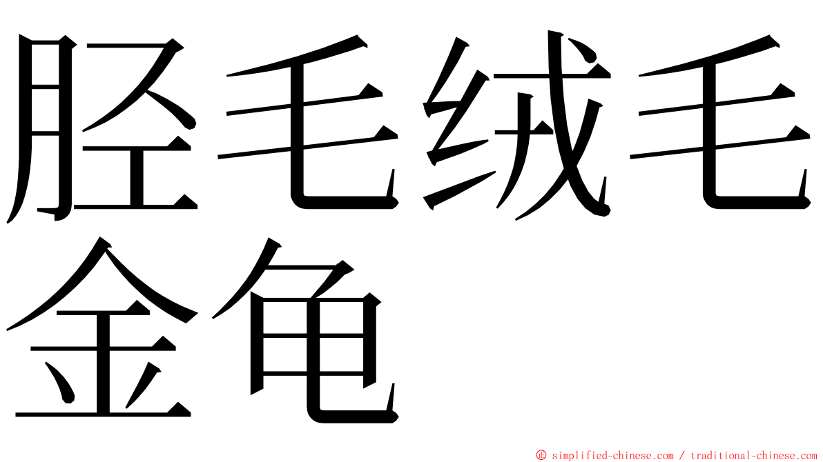 胫毛绒毛金龟 ming font