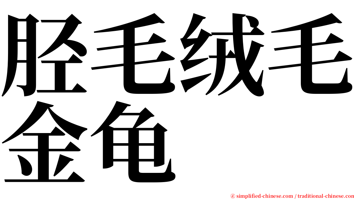 胫毛绒毛金龟 serif font