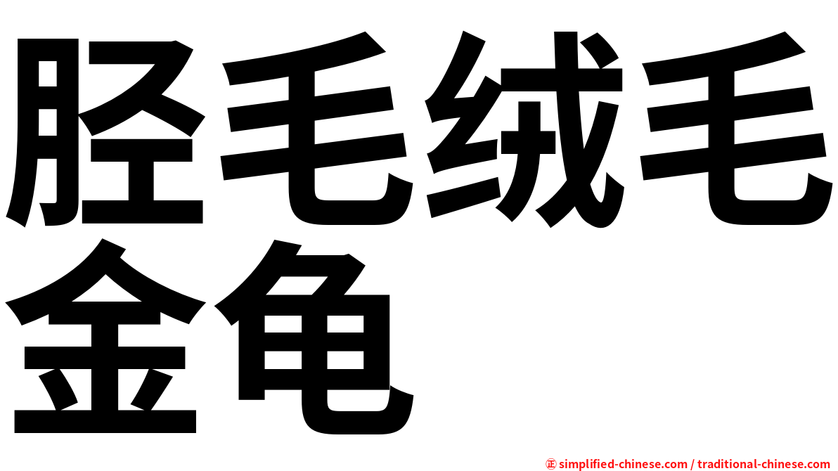 胫毛绒毛金龟