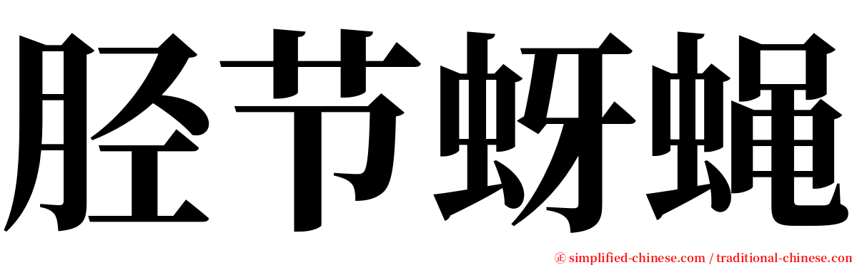 胫节蚜蝇 serif font