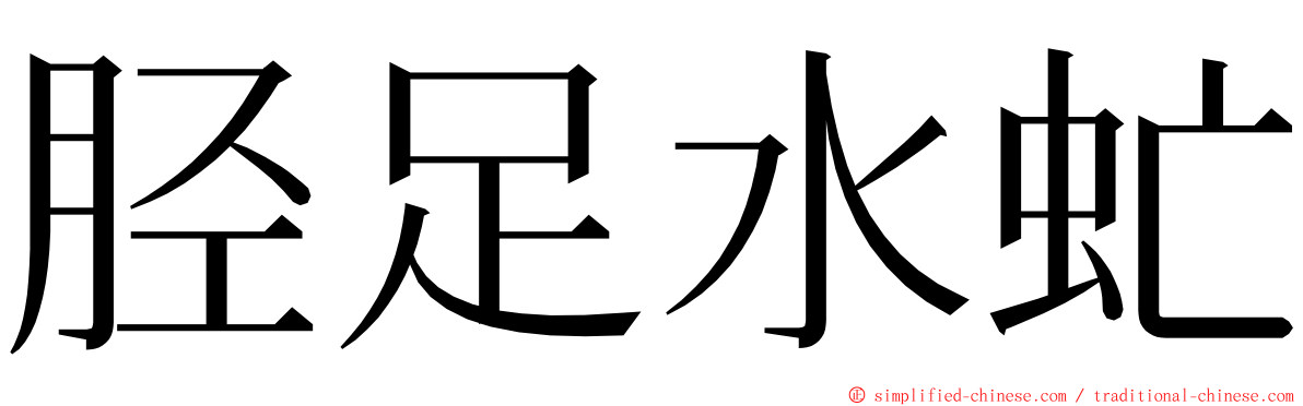 胫足水虻 ming font