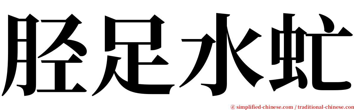 胫足水虻 serif font