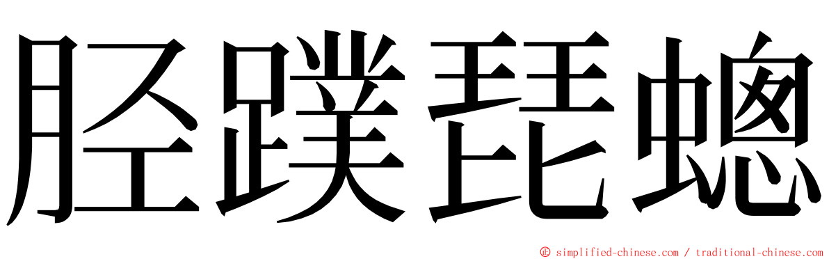 胫蹼琵蟌 ming font